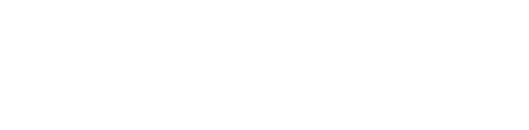 Venostis (Italy) logo